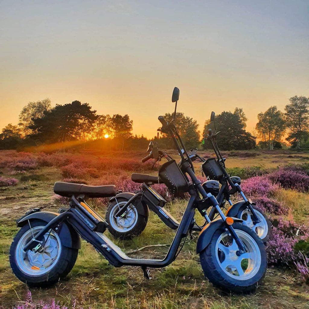 Ondergaande Zon