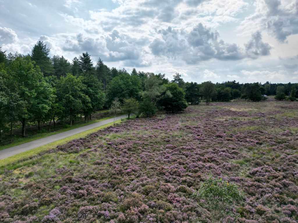 Het Leersumse Veld